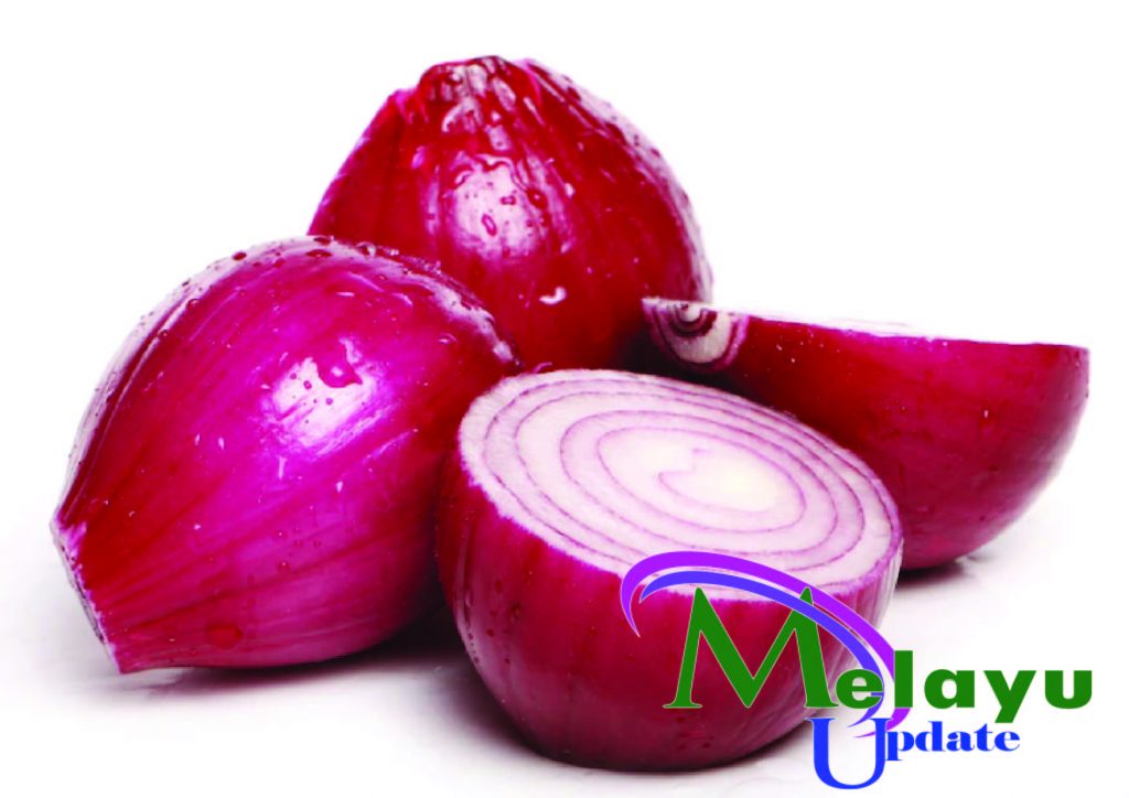 Bawang Merah - Red Onion - Melayupdate